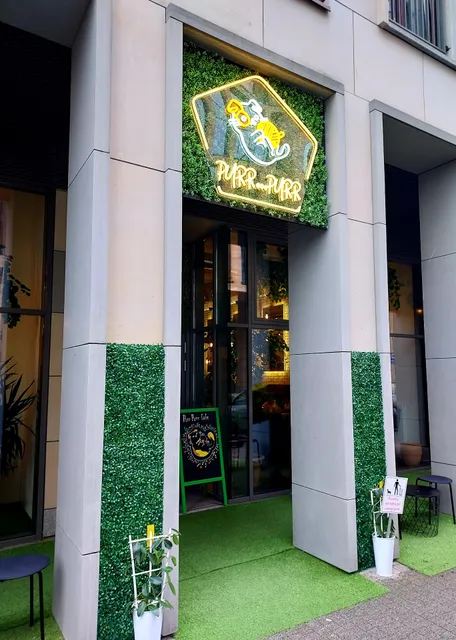 Restauracja Purr Purr (Kocia Strefa od 12 lat)