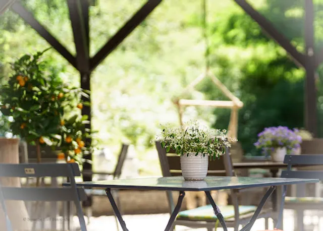 DasNaturfreundehaus - Gasthaus Rheinebene