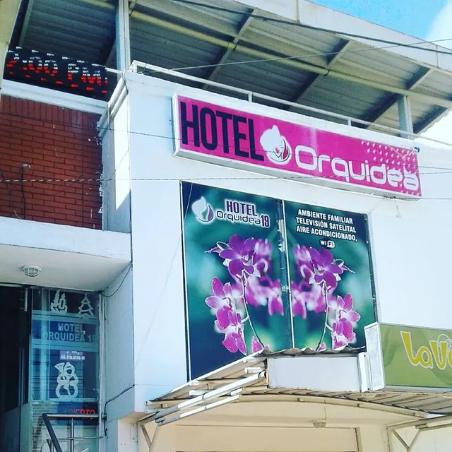 Hotel Orquidea 19