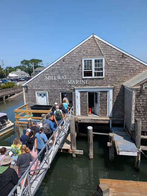 Hyannis Whale Watcher Cruises