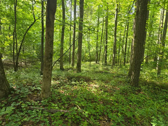 Red Top Mountain State Park