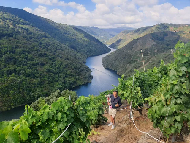Viñas Terrabrava - Ribeira Sacra Doade (Sober)