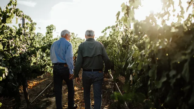 LangeTwins Family Winery and Vineyards