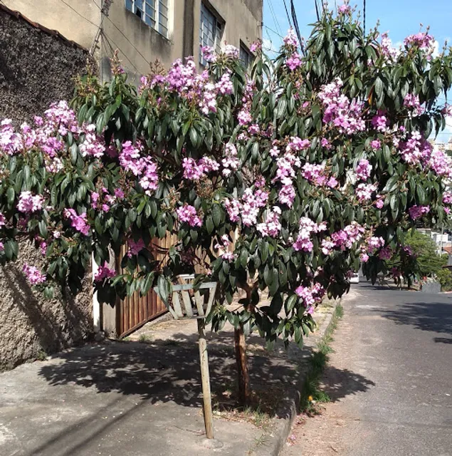 Marcio's Bar e Restaurante