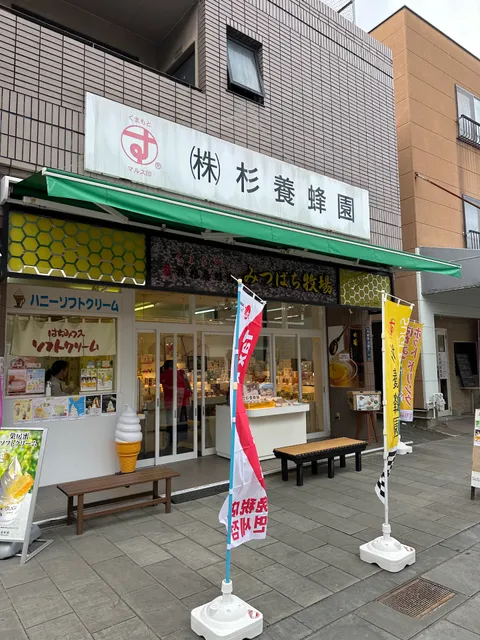 [Sugi Bee Garden] Kumamoto Suizenji Store