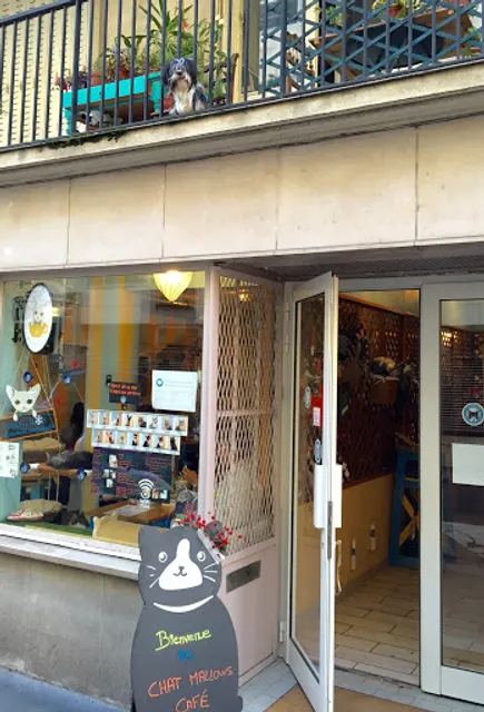 Chat Mallows Café 10€/pers Age 6+ only