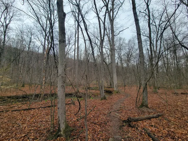 State Game Lands Number 170