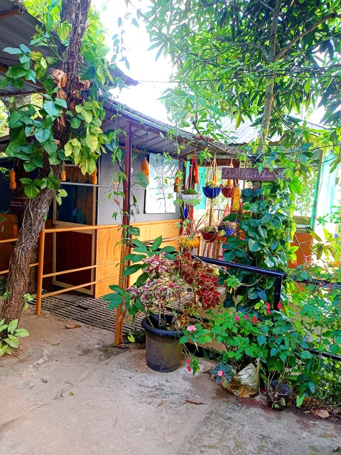 Munnar Plantation home stay. Tea Drops .