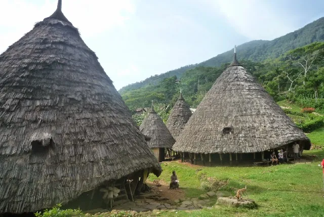 MJR Ticketing Guest House