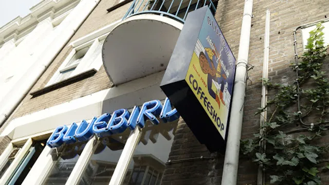 Coffeeshop Bluebird