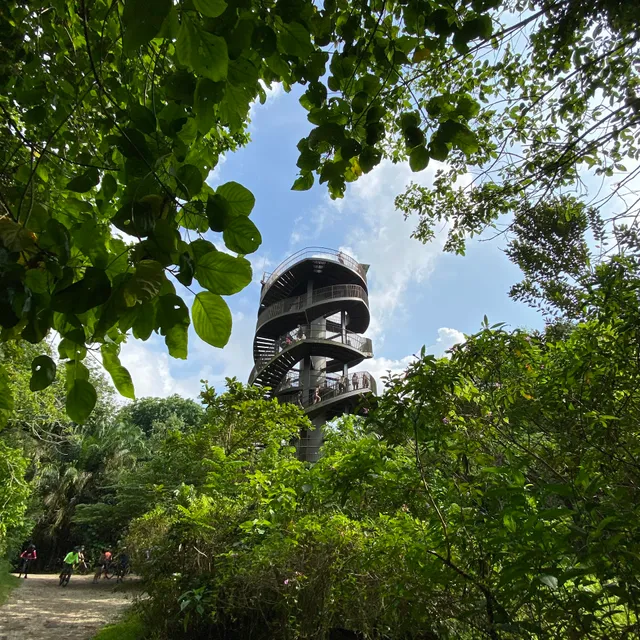 Chestnut Nature Park Observation Tower
