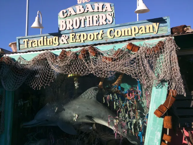The Cabana Brothers' Trading & Export Company