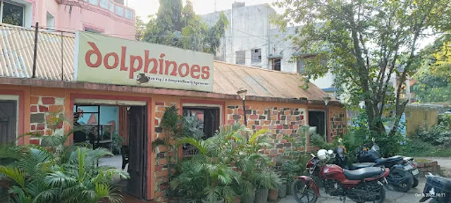 Dolphinoes