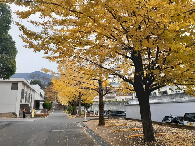 Nagasaki University Sakamoto District Campus 1