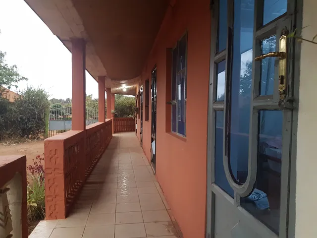 African Wagtail House