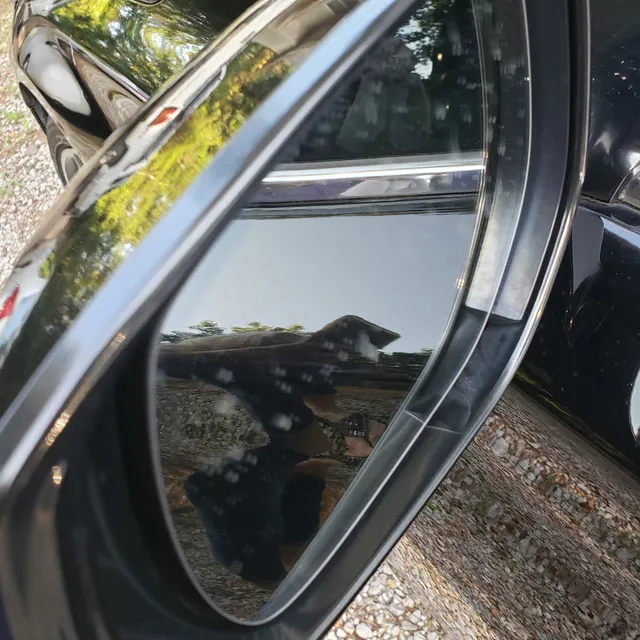 WASH & GO CAR WASH EXPRESS