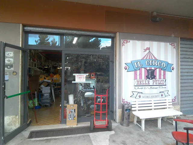 Il Circo delle Pulci - Mercatino Usato Pescara - Flea Market - Marché aux Puces