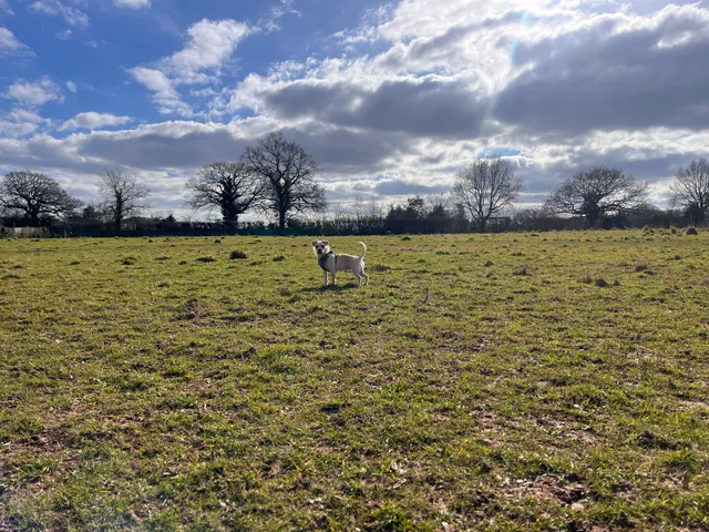 Pounders Park - Buzzard Valley