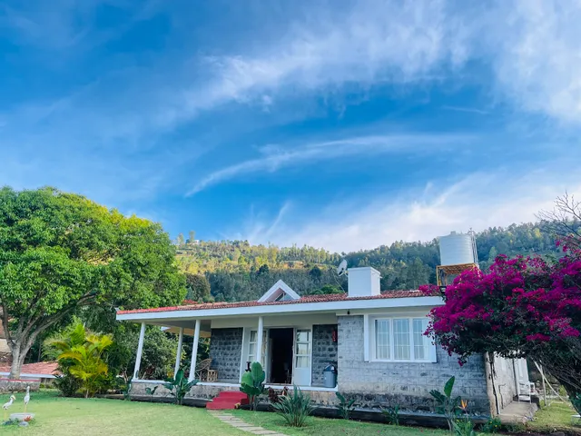 “Earth songs by the vineyard” by green leaves