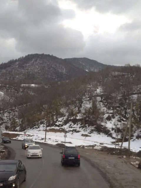 OmniBus Stop Zugdidi