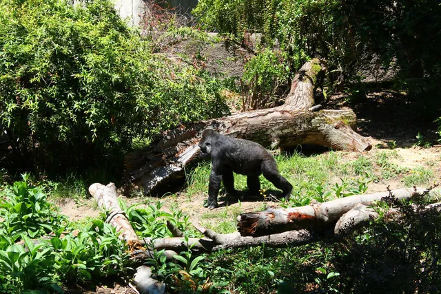 Tropical Rain Forest Zone