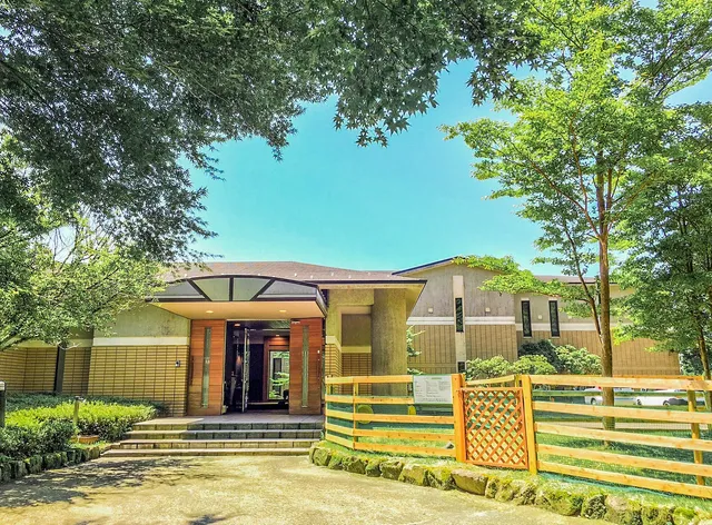 Karo Foresuta Motohakoneruchia