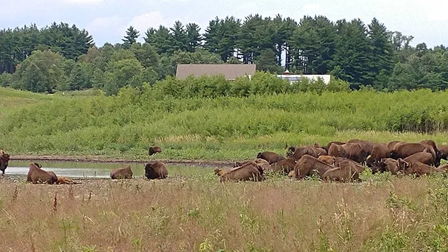 Nachusa Grasslands - Headquarters