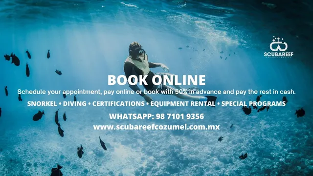 Scuba Reef Cozumel