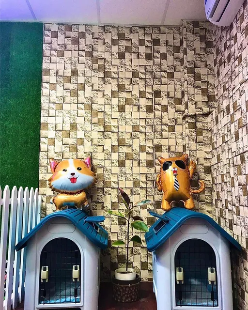 Manila Paw Club Pet Grooming | Day care | Hotel | Essentials