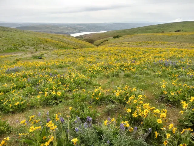 Crawford Oaks Trailhead
