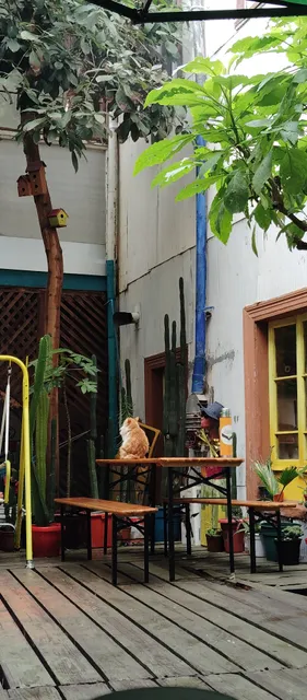 Hostel Casa chamán (Galería de Arte)