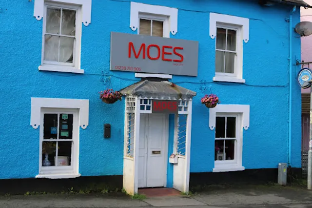 MOES SPICE LTD
