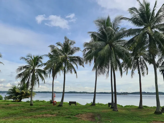 Pasir Ris Park Area 3