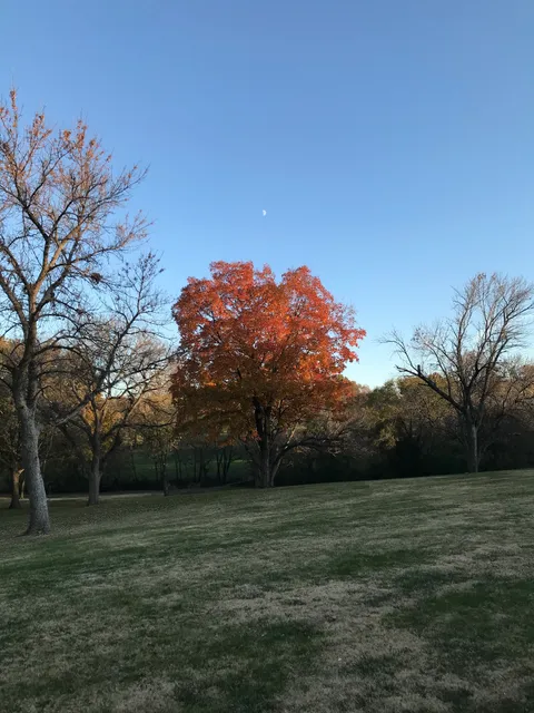 Centennial Park Disc Golf Course