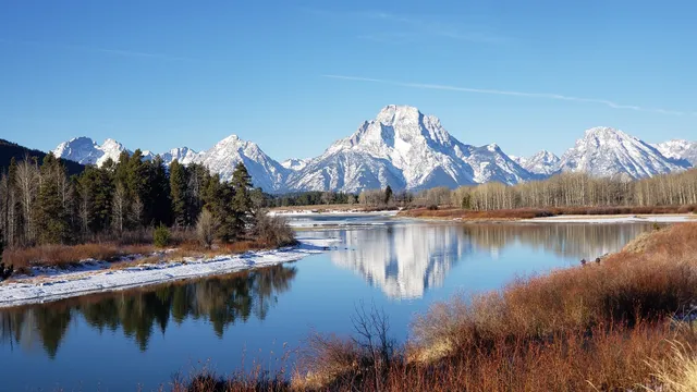 Yellowstone Day Tours