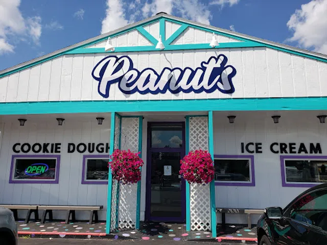 Peanut's Ice Cream and Cookie Dough