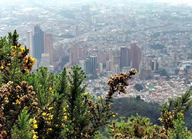 Mirador al Norte - Monserrate