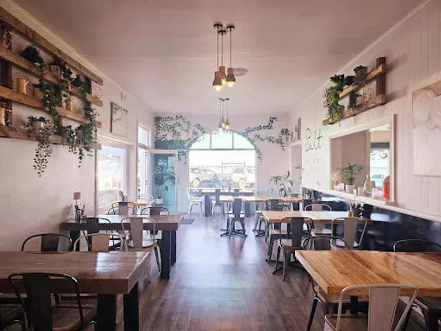 Salt Cafe & Bar