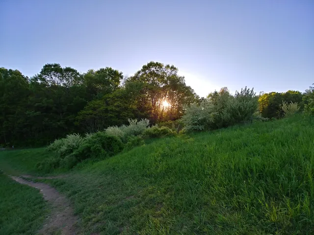 Johnson Park Disc Golf Course