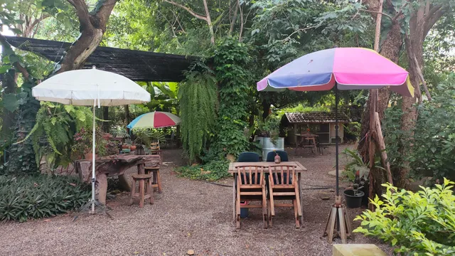 Why at Chainat Farmstay