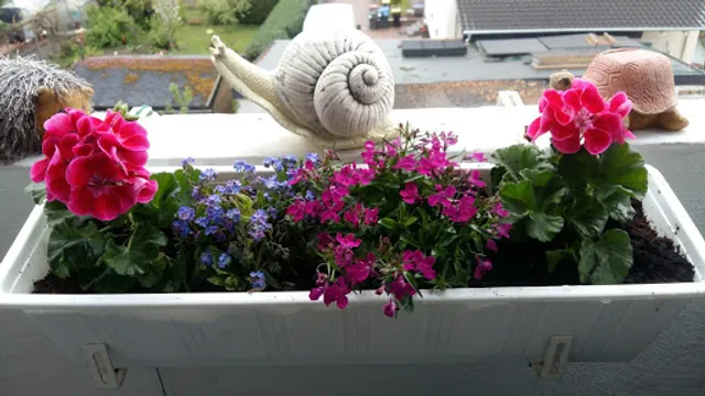 Gaststätte Salü UG