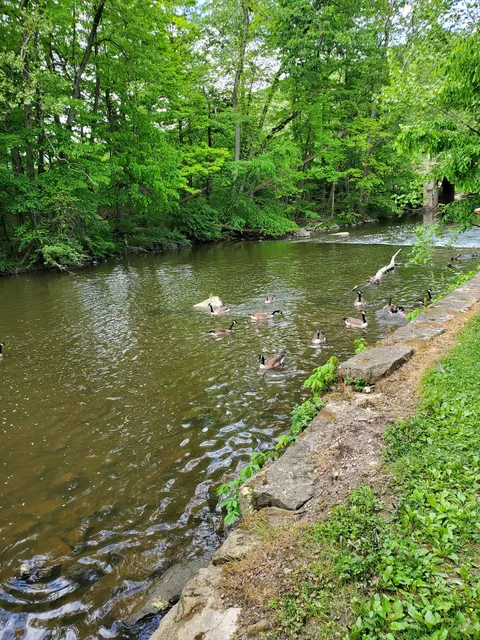 Mill Creek Community Center