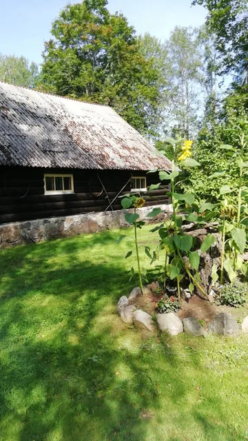 Kopli Talu Koertehoid