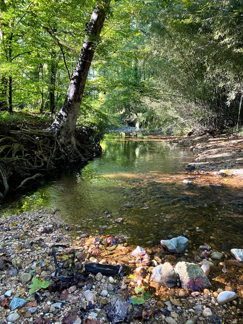 Turkeycock Run Stream Valley Park