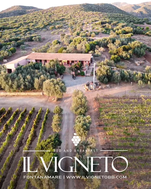 Il Vigneto B&B