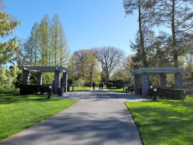 Benenson Ornamental Conifers, NYBG