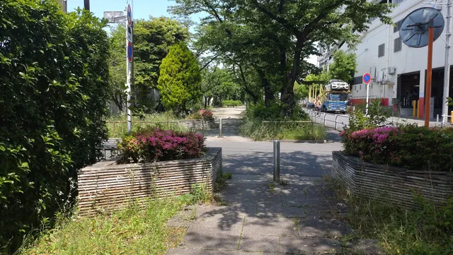 Hasunegawa Greenery Road