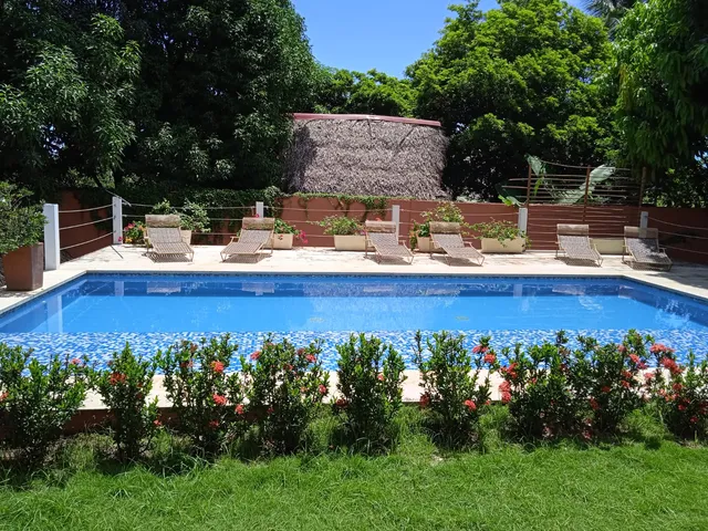 Color Hostel Palomino