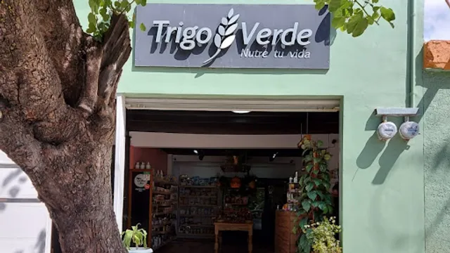Trigo Verde