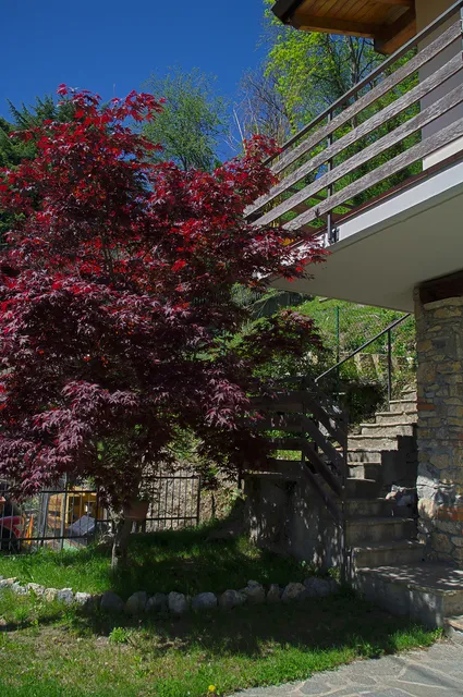 Casa dell'acero rosso